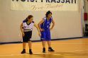 Basket 242060